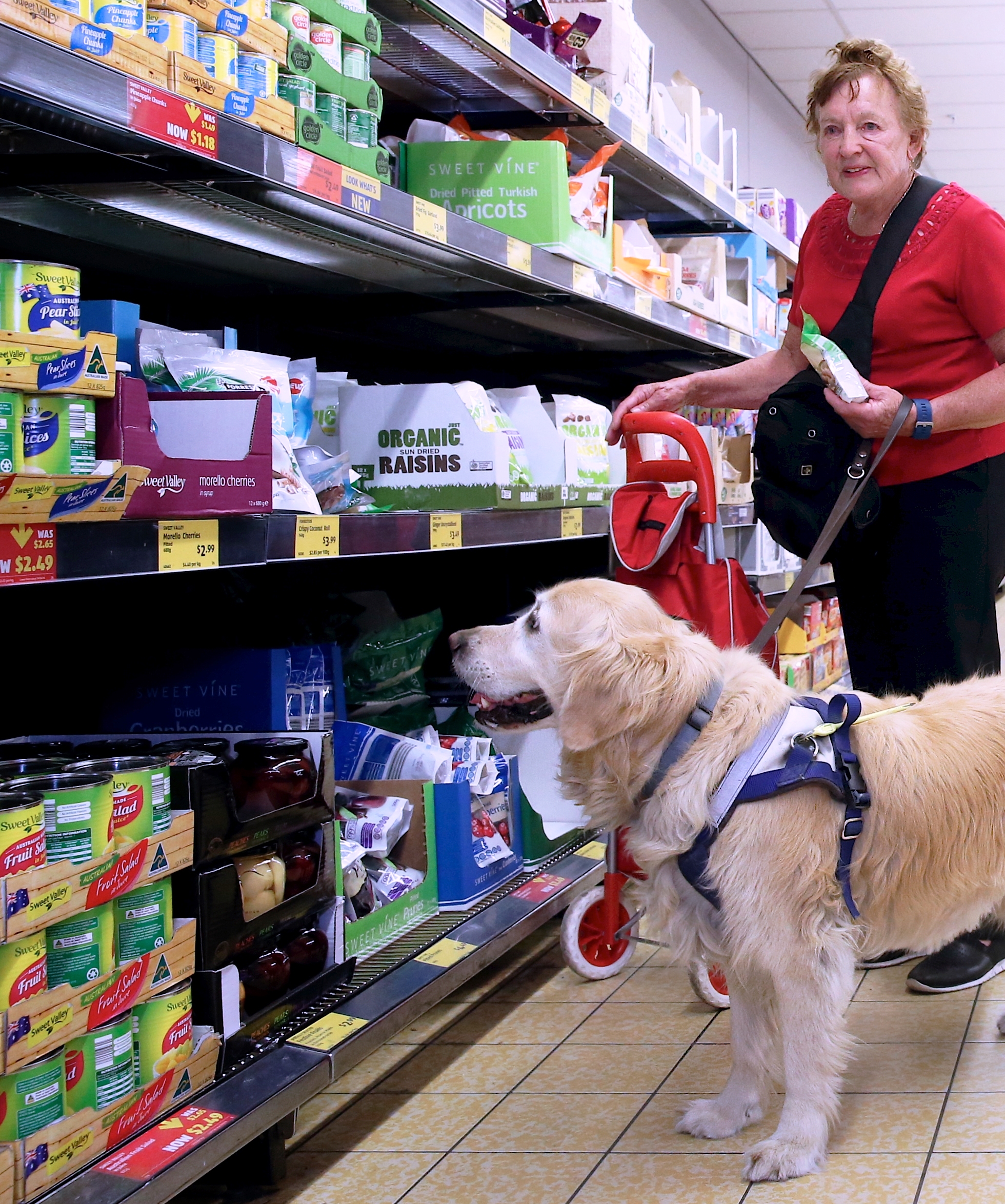 Jenny and Goldie standing in supermarket